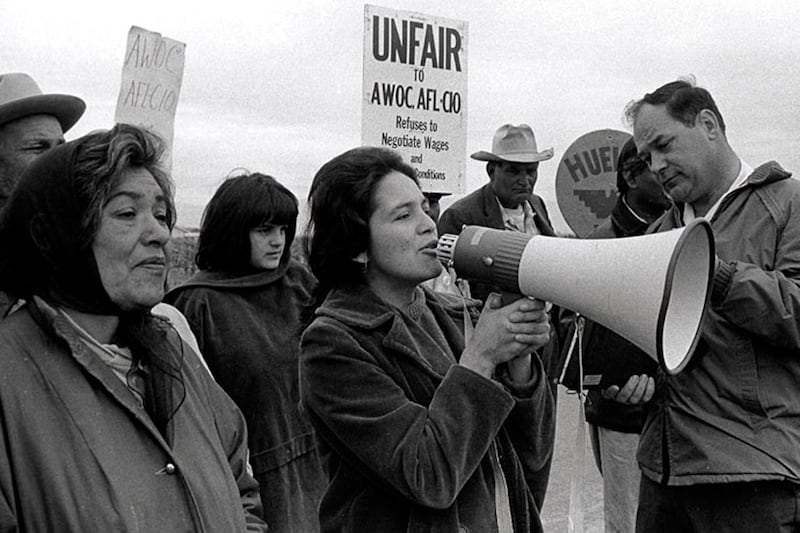 articles/2012/05/18/hero-grandmother-delores-huerta-honored-with-medal-of-freedom/dolores-huerta-mcelwaine-new-new_mqb6ak