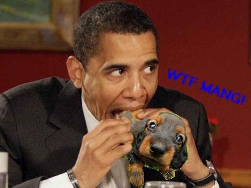 galleries/2012/04/21/meme-of-the-week-obama-eats-dog-photos/obamadog-5_emgzec