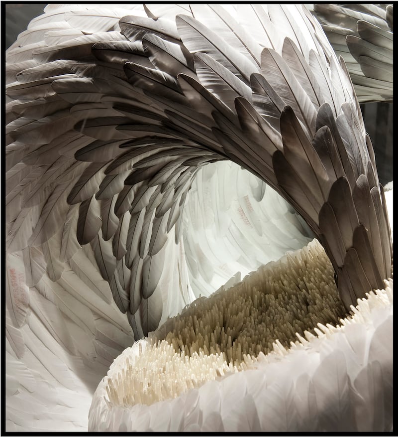 galleries/2014/03/29/birds-of-paradise-feathers-in-fashion-at-antwerp-s-fashion-museum-photos/gal-birds-paradise-13_hhuy8p