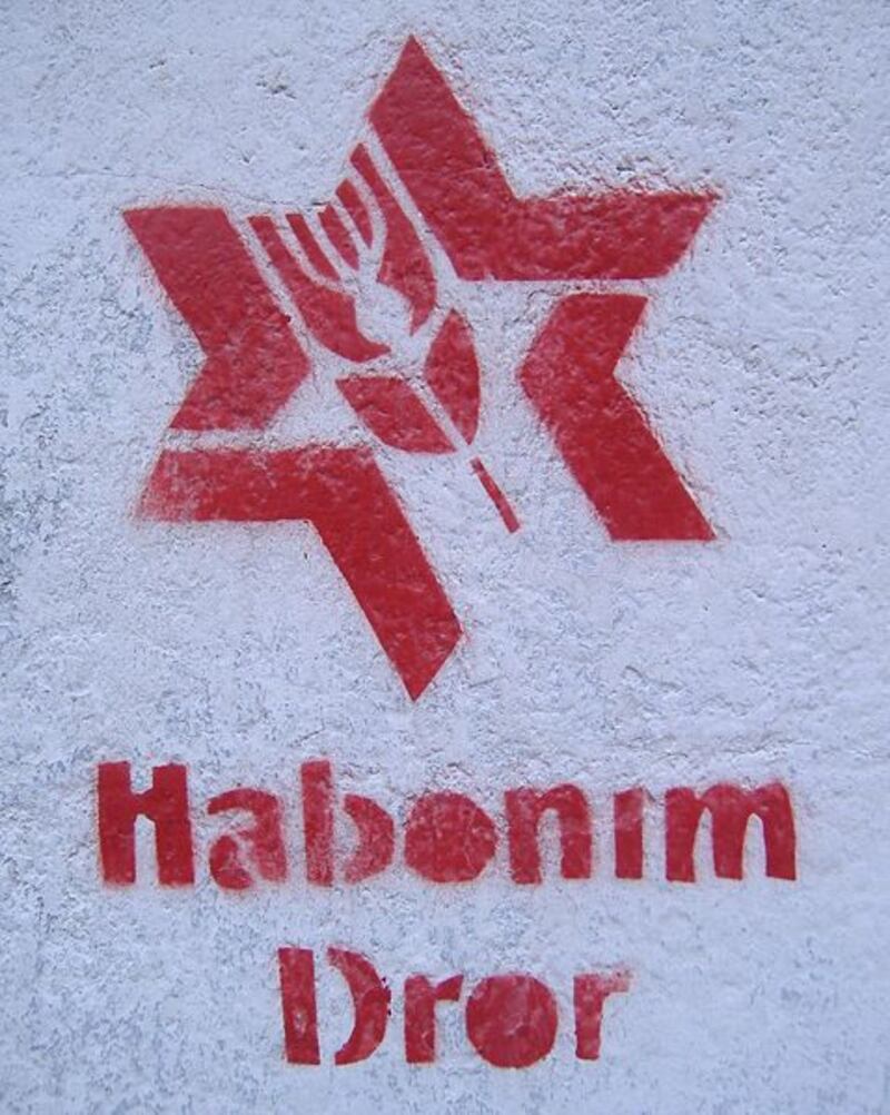 articles/2013/12/11/habonim-dror-cultivates-a-sophisticated-take-on-jewish-identity/habonim-dror-graffiti-argentina-openz_f5a5yi