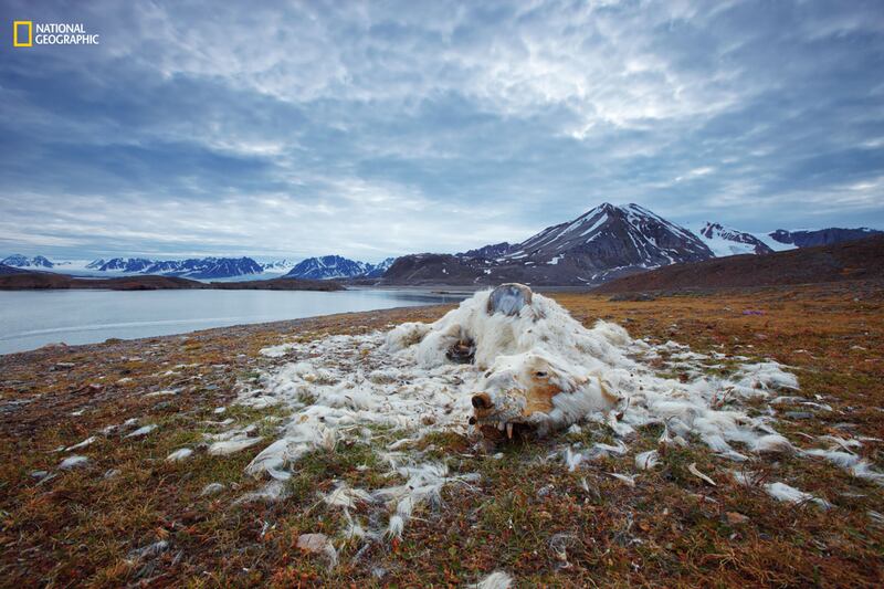 galleries/2016/12/13/national-geographic-nature-photographer-of-the-year-winners/161212-NGNP-17-embed-vadim-balakin-ngnp-environmental1_htyaju