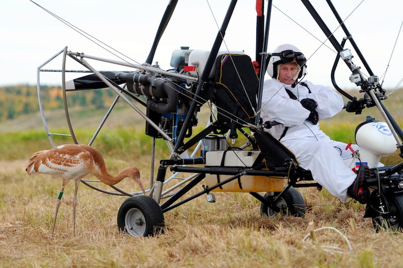 galleries/2013/09/05/17-photos-of-putin-schmoozing-with-animals-photos/130904-putin-cranes_qjddxg