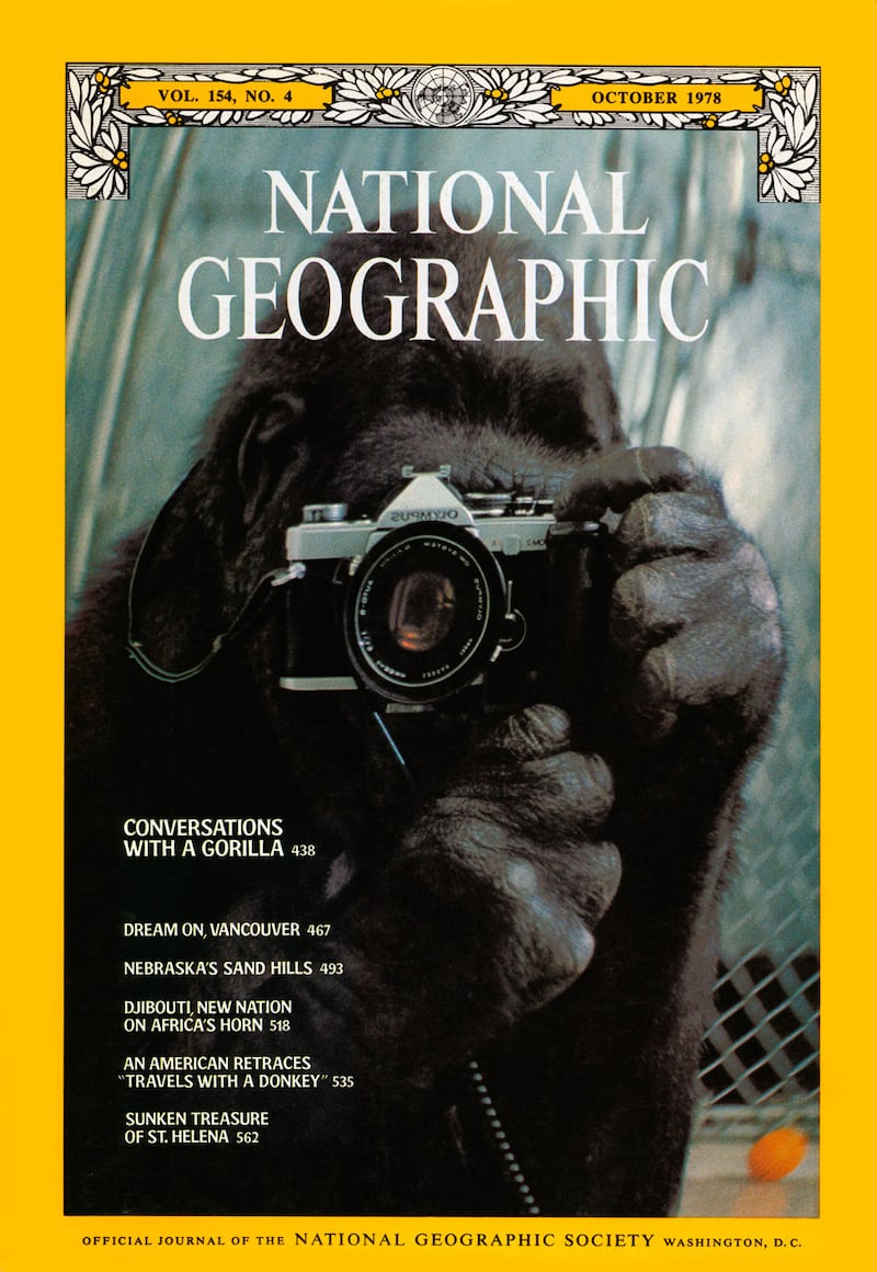 galleries/2014/10/19/national-geographic-the-covers-iconic-photographs-unforgettable-stories/141016-nat-geo-1978_nwqbn2