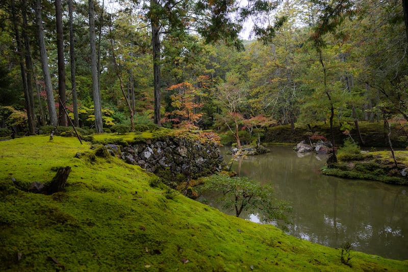 A photo of Kokedera Kyoto garden in Japan.