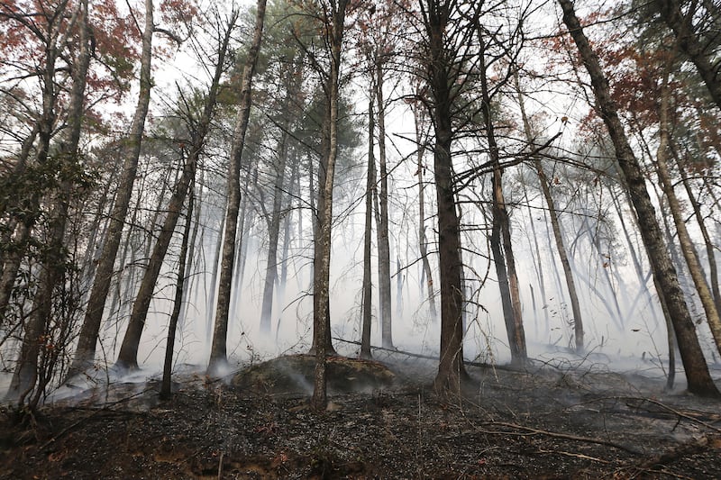 galleries/2016/11/29/tennesse-wildfires/161129-Tenn-wildfire-GAL-04_etgr5r