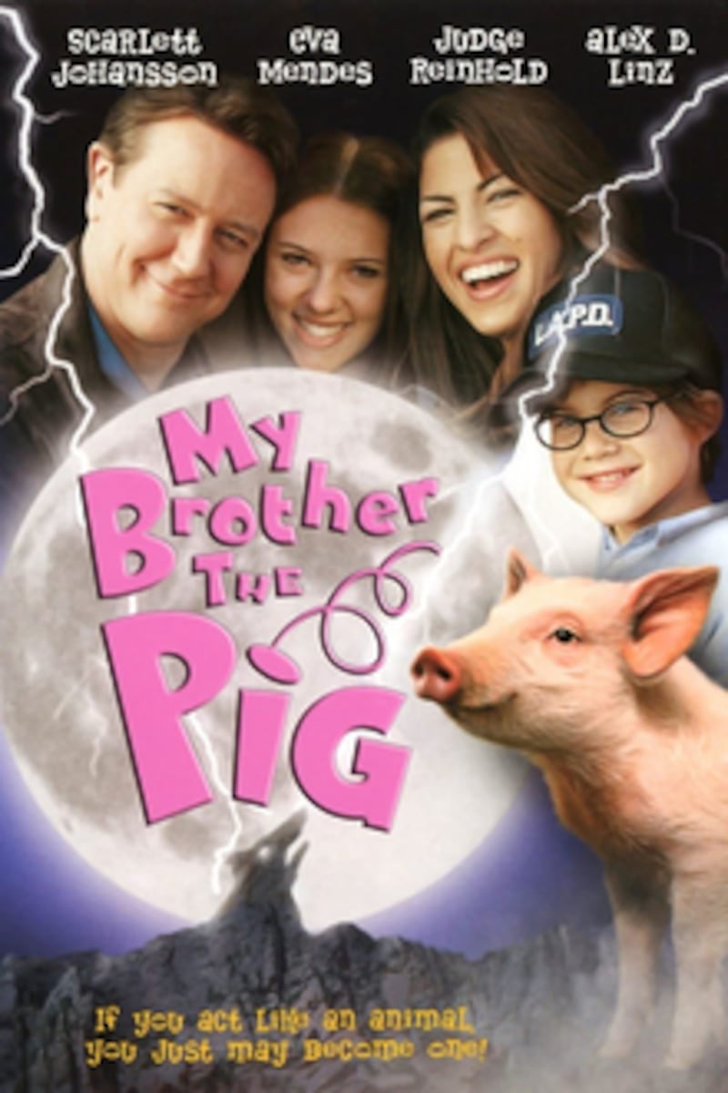 My Brother the Pig DVD