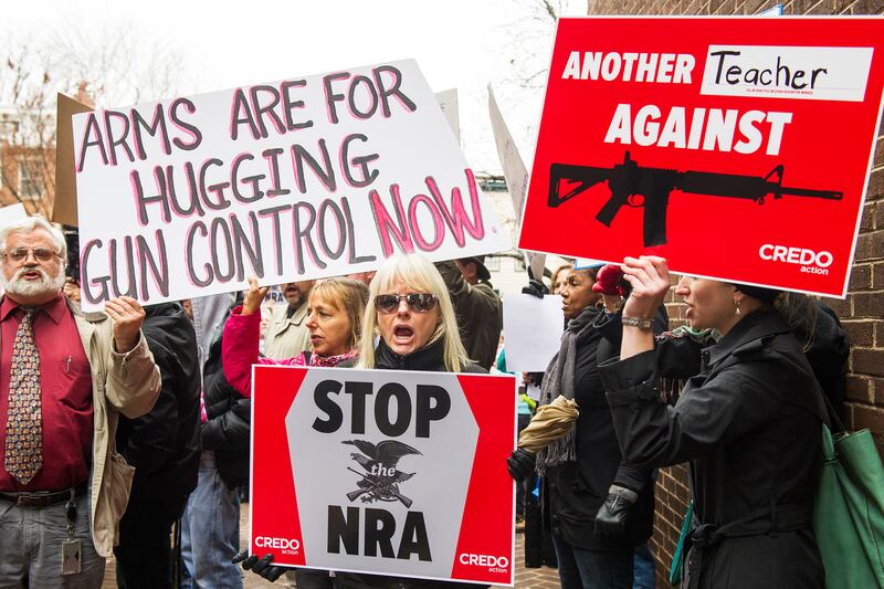 articles/2012/12/18/the-nra-has-a-head-start-against-newly-energized-gun-control-advocates/opposition-to-nra-freedlander-tease_z5p5ca