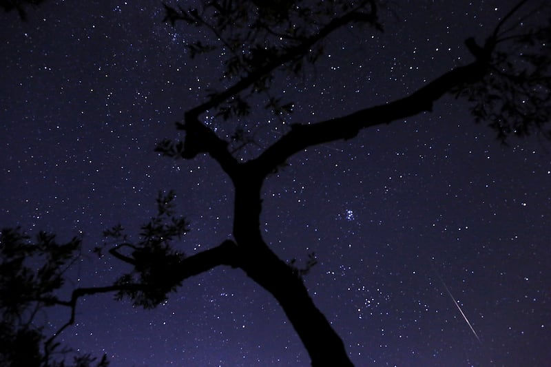 galleries/2013/08/12/perseid-2013-meteor-shower-lights-up-the-night-sky/meteor-shower-5_bxggeq