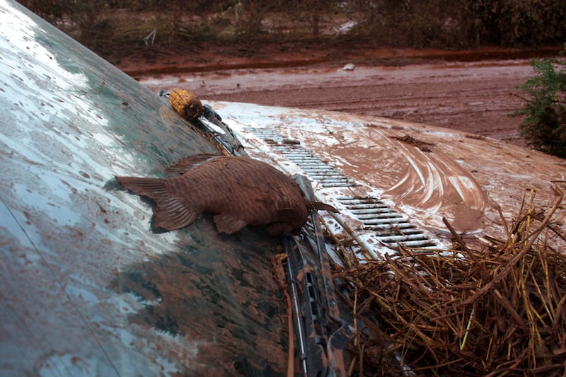 galleries/2010/10/06/toxic-sludge-engulfs-hungarian-towns/toxic-sludge-7_morogo