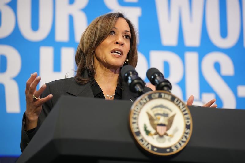 Kamala Harris hosts a campaign rally at IBEW Local 890 on November 1, 2024 in Janesville, Wisconsin.