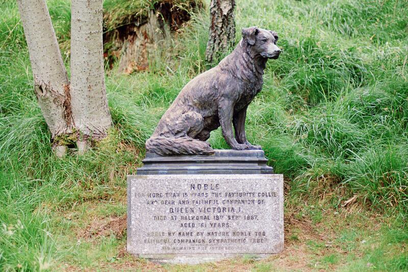 galleries/2012/02/02/prince-william-and-kate-s-new-puppy-joins-long-history-of-royal-dogs-photos/noble-gravestone-balmoral-royal-dogs_wsxcra