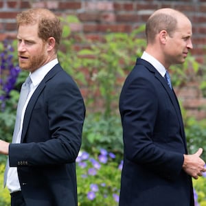 Prince Harry and Prince William