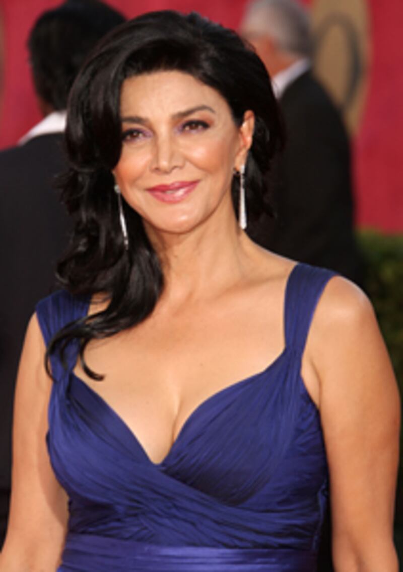 articles/2010/03/01/shohreh-aghdashloo-to-appear-at-daily-beast-summit/zanganeh-aghdashloo_jaq7hi