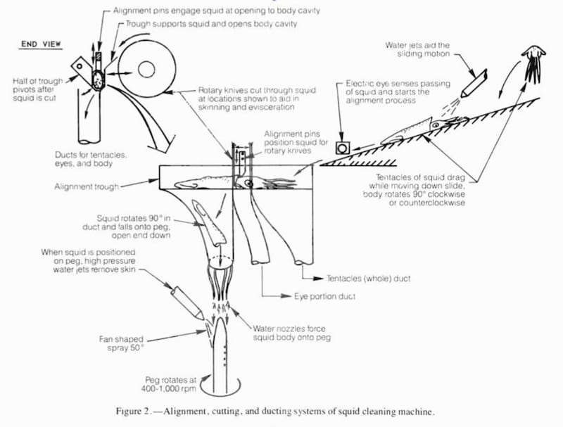 190328-squid-embed2_y8erlc