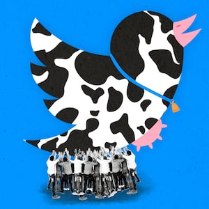 190320-sommer-devin-nunes-cow-twitter-hero_q8umfy