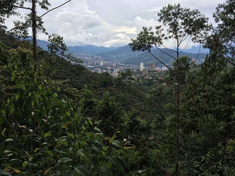 180716-mulhern-medellin-hiking-paths-romera_a5dje1