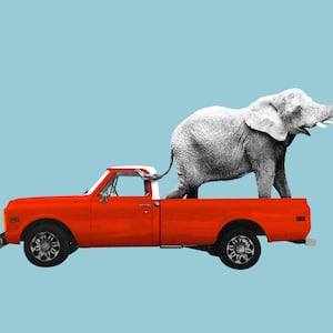 Photo illustration of an elephant in a red pickup truck