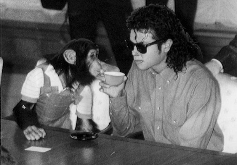 galleries/2011/06/16/weirdest-celebrity-pets/michael-jackson-chimp_ynutwk