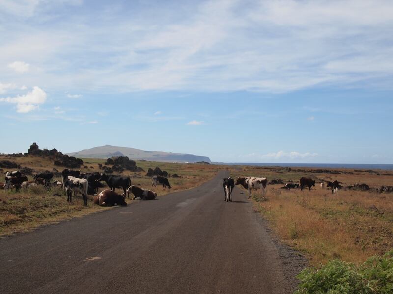 galleries/2013/08/02/stunning-images-from-easter-island-photos/easter-island-3_inyeug