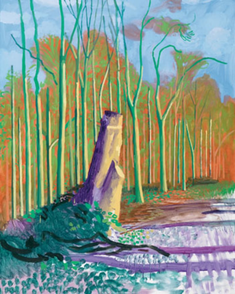 galleries/2009/11/25/david-hockney-s-landscapes/david-hockney-6_w5jmmg