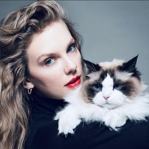 Taylor Swift poses with a cat.