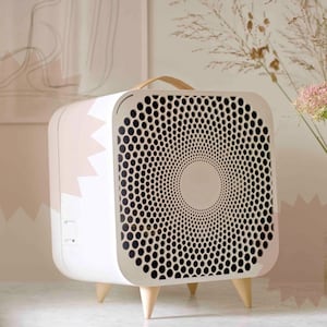 Blue air purifier fan review