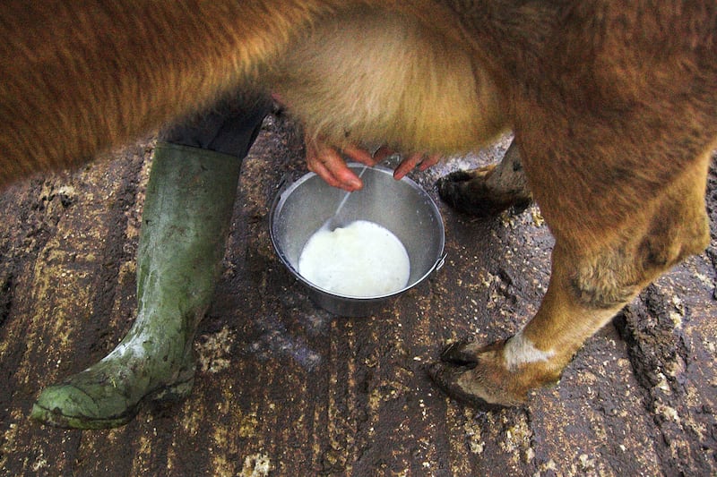 articles/2013/05/12/wisconsin-farmer-to-stand-trial-for-selling-raw-milk/130511-begley-raw-milk-tease-embed1_vkbro5