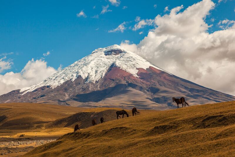 220309-ecuador-embed-Cotopaxi_i5ooev