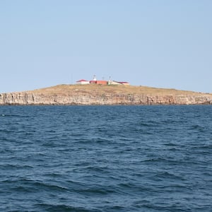 1599px-Snake_Island__Black_Sea__IMG_0535_nmzhqi