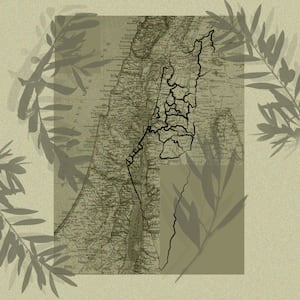 A photo illustration showing olive branches and a map of Palestine and Israel.