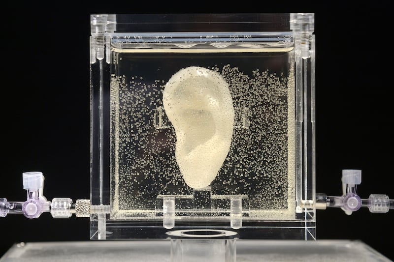 articles/2014/06/04/this-artist-reproduced-van-gogh-s-ear-and-it-s-alive/140604-van-gogh-ear-tease_j1ks1t