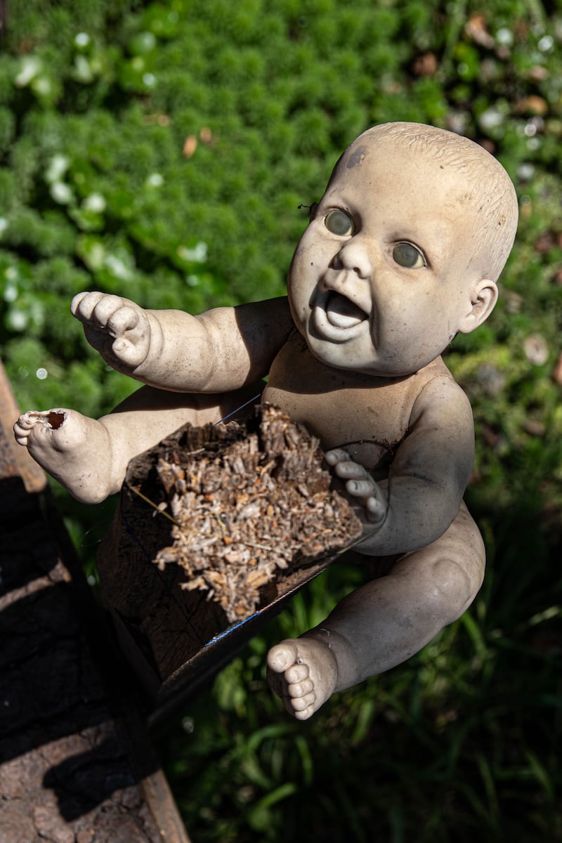 Photograph of a doll hanging on Isla de las Munecas.