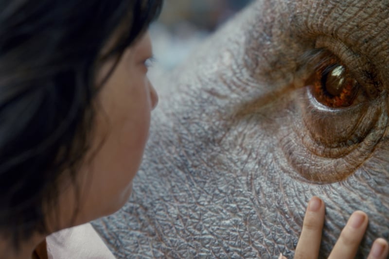 170507-stern-summer-movies-okja-netflix_ewgiqd