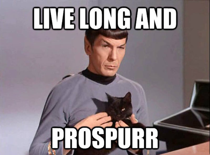 galleries/2013/05/16/george-takei-s-nine-favorite-star-trek-memes/live-long-and-propspurr_j4us5j