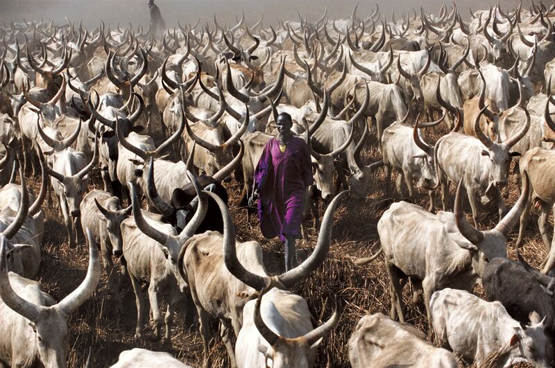 galleries/2010/10/19/dinka-legendary-cattle-keepers-of-sudan/dinka-9_n1xjsq