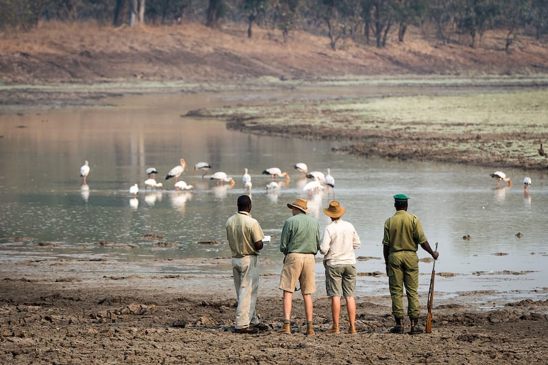 190714-kemper-zambia-safari-4_rpf7ov