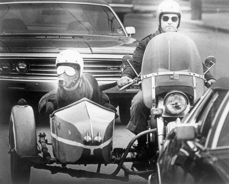 galleries/2013/09/01/choppers-road-hogs-and-bikes-vintage-photos-of-motorcycles-on-the-road/130828-motorcycle13_nymge6