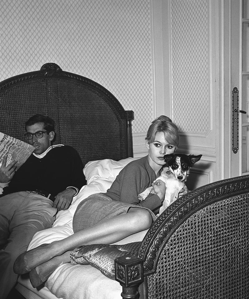 galleries/2014/09/21/vintage-celebrity-pets-on-the-riviera/140918-celeb-pets-08_ohgvnw