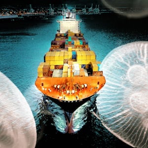 An illustration including images of a Cargo Ship and Jellyfish.