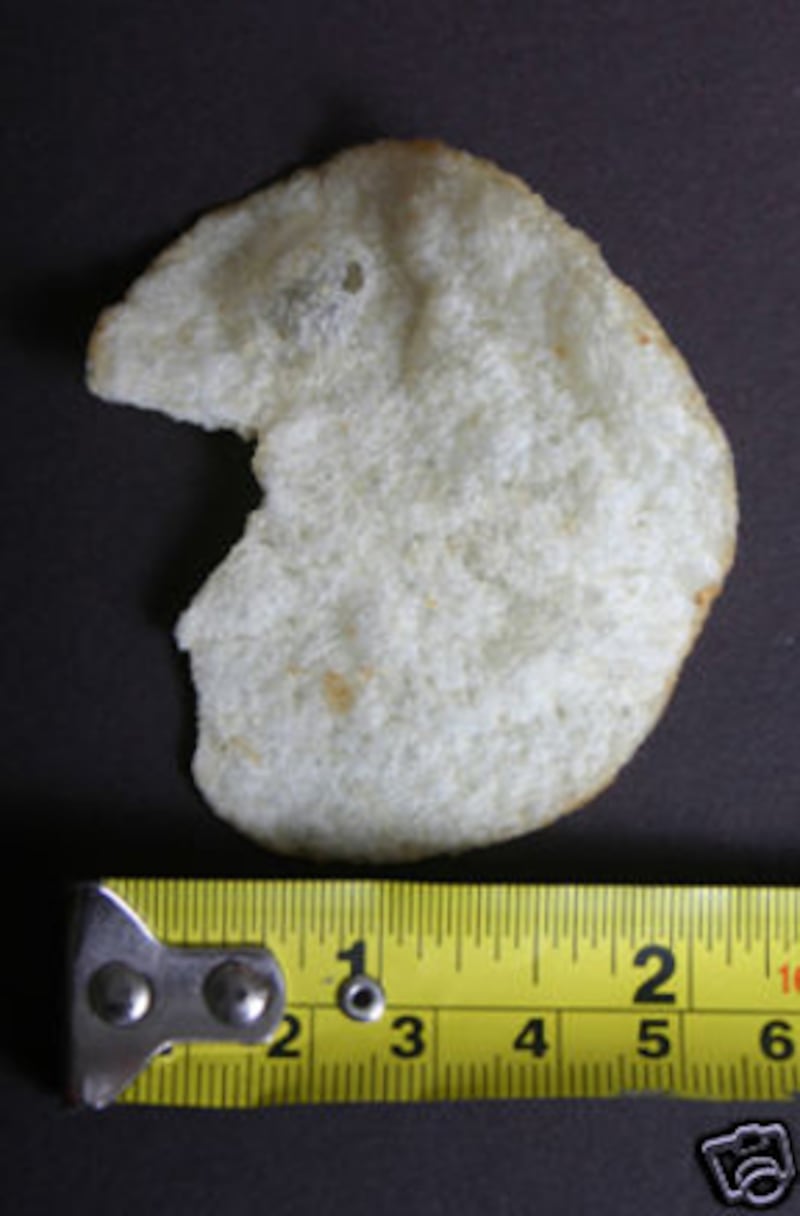 galleries/2011/04/20/who-s-that-in-my-food/faces-in-food---elvis-chip_kanuzv