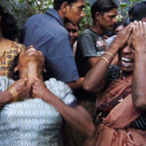 articles/2009/05/04/fighting-terrorism-at-what-price/adiga-tamil-tigers_25247_wqtsxj