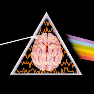 An illustration that includes photos of The Dark Side of The Moon, Brain Waves, and a Brain