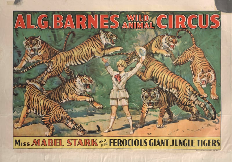 galleries/2012/10/21/the-american-circus-chronicles-the-big-top-s-glory-days-photos/the-american-circus-ferocious-giant-jungle-tigers-poster_kiqhzz