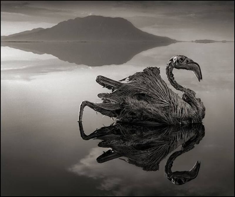 galleries/2013/10/05/nick-brandt-s-across-the-ravaged-land-photos/attachment-17_khavny