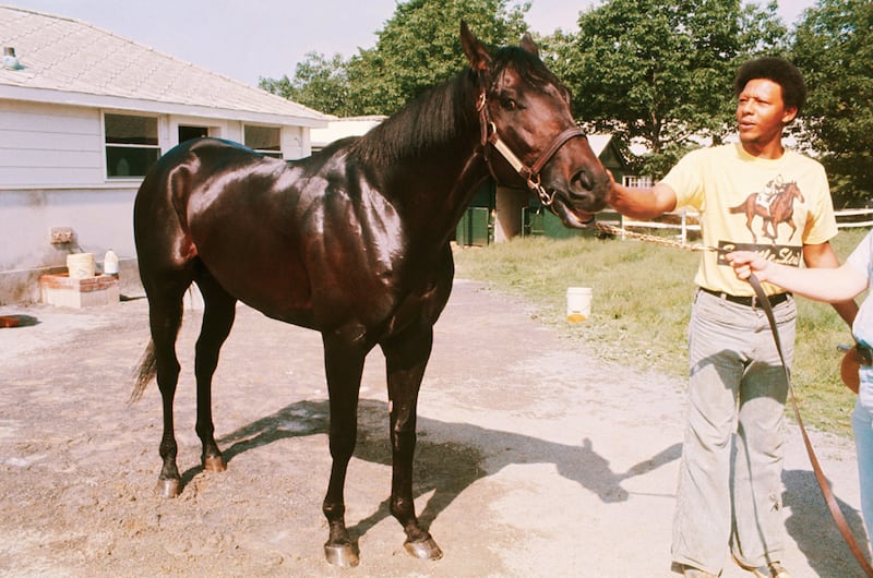 galleries/2011/05/04/classic-kentucky-derby/classic-kentucky-derby---seattle-slew_p2mgex