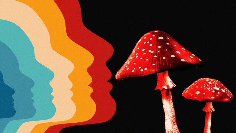 Illustration of psychedelic graphic in the shape of a human head and mushrooms