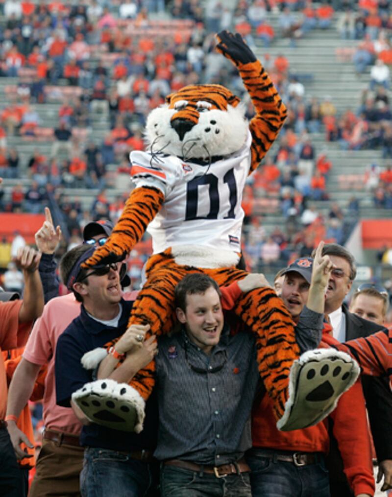 galleries/2011/01/09/dumbest-college-sports-teams/auburn-university_qthth9