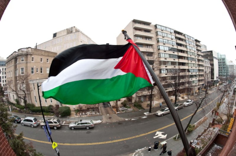 articles/2013/02/07/why-bds-at-brooklyn-college-means-broadening-the-discourse-about-security/palestine-flag-openz_tuebw8