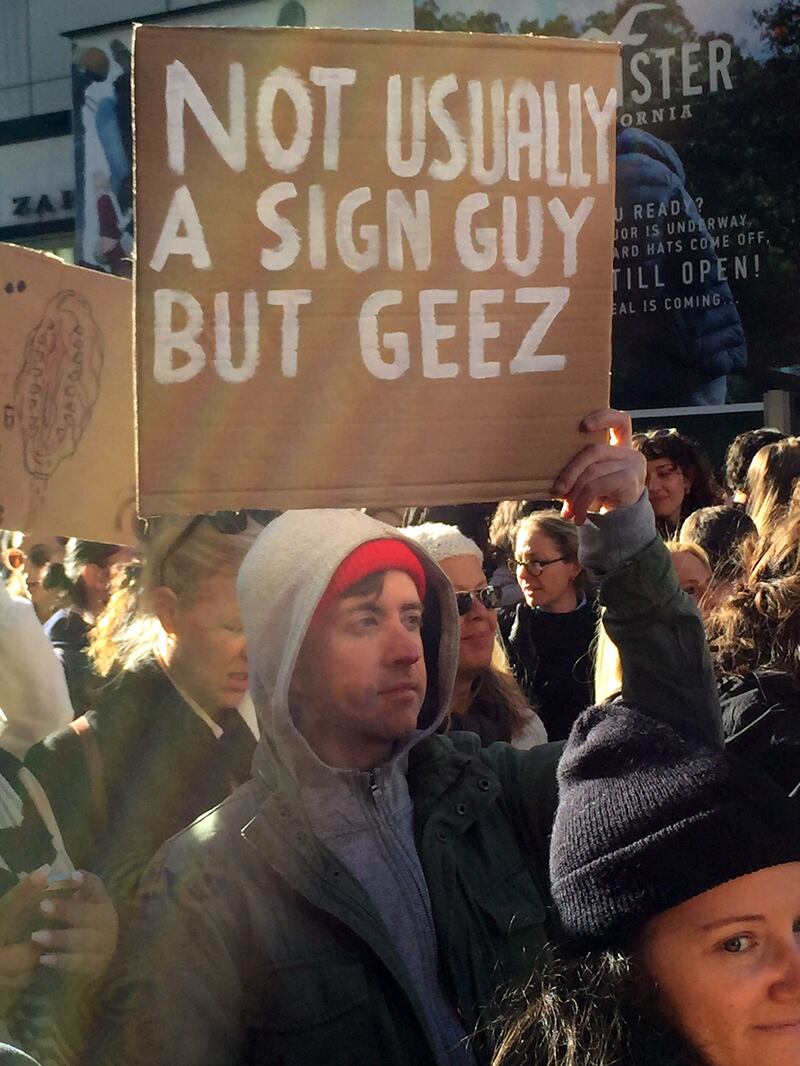 galleries/2016/11/14/the-most-clever-signs-of-anti-trump-protests/161114-protest-signs-gallery-11_gzc6y6