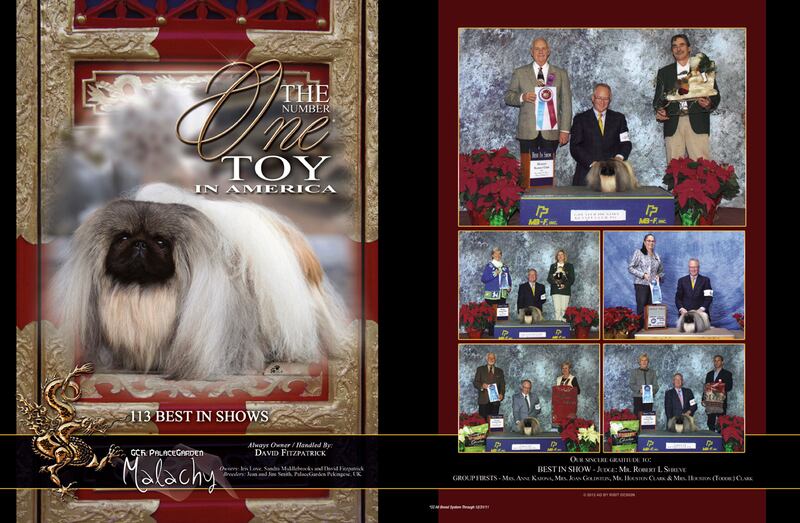 galleries/2012/02/08/the-best-show-dog-vanity-ads-photos/dog-ads-2-middlebrooks_gkw40n